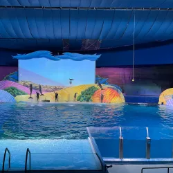 Indianapolis Zoo - Indianapolis