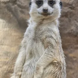 Indianapolis Zoo - Indianapolis