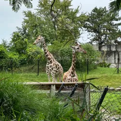 Indianapolis Zoo - Indianapolis