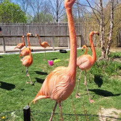 Indianapolis Zoo - Indianapolis