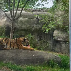 Indianapolis Zoo - Indianapolis