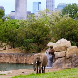 Indianapolis Zoo - Indianapolis