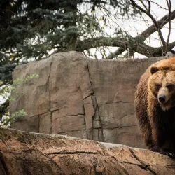 Indianapolis Zoo - Indianapolis