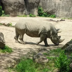 Indianapolis Zoo - Indianapolis