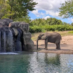 Indianapolis Zoo - Indianapolis