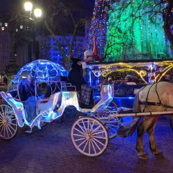 Monument Circle - Indianapolis