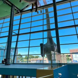 The Children's Museum of Indianapolis - Indianapolis