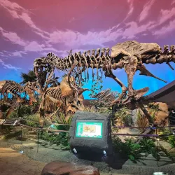 The Children's Museum of Indianapolis - Indianapolis