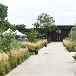 Jasper Winery - Jasper