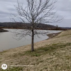 Clarksville Marina - Jeffersonville