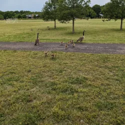 Clarksville Marina - Jeffersonville