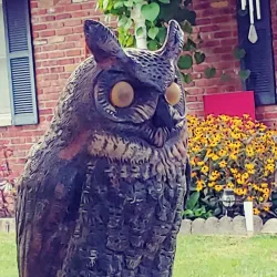 Downtown Kokomo - Kokomo