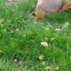 Downtown Kokomo - Kokomo