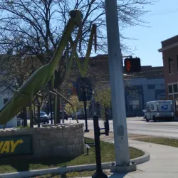 Downtown Kokomo - Kokomo