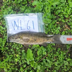 Downtown Kokomo - Kokomo