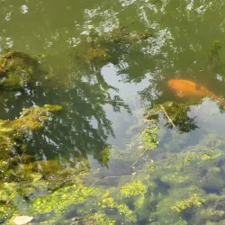 Downtown Kokomo - Kokomo