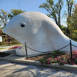 Foster Park - Kokomo