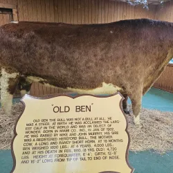 Highland Park - Kokomo