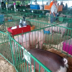 La Porte County Fairgrounds - La Porte