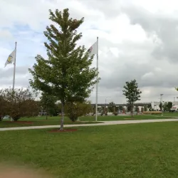 Cicero Park - Merrillville