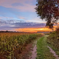 Hoffman Park - Merrillville