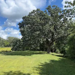 Hoffman Park - Merrillville