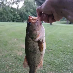 Merrillville Skate Park - Merrillville