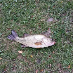 Merrillville Skate Park - Merrillville