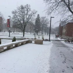 Ball State University - Muncie