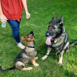 Cardinal Greenway - Muncie