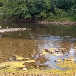 Cardinal Greenway - Muncie