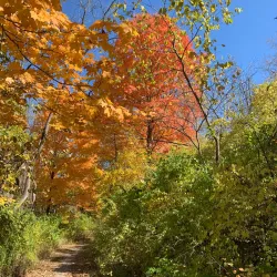 Prairie Creek Reservoir - Muncie
