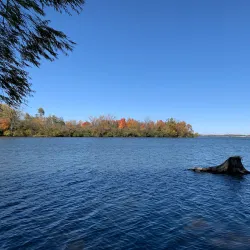 Prairie Creek Reservoir - Muncie
