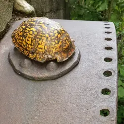 Big Blue River - New Castle