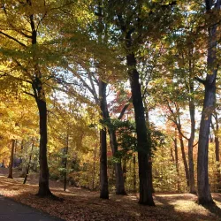 Henry County Fairgrounds - New Castle