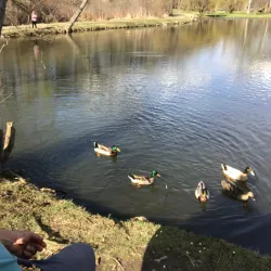 Henry County Fairgrounds - New Castle