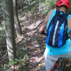 West Park - New Castle