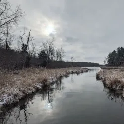 West Park - New Castle