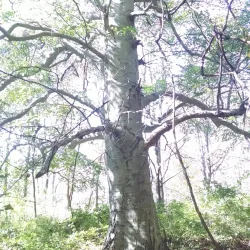 West Park - New Castle