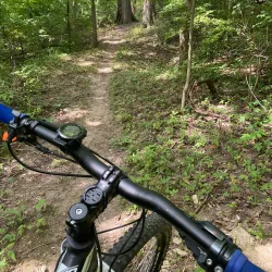 West Park - New Castle