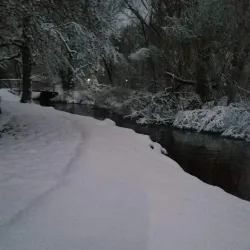 Central Park - Portage