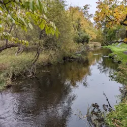 Central Park - Portage