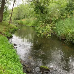 Central Park - Portage