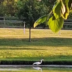 Schererville Dog Park - Schererville