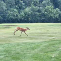 Schererville Golf Course - Schererville