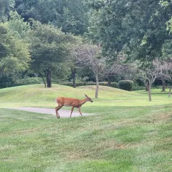 Schererville Golf Course - Schererville
