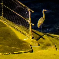 East Bank Trail - South Bend