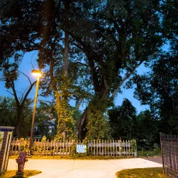 East Bank Trail - South Bend