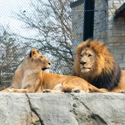 Potawatomi Zoo - South Bend