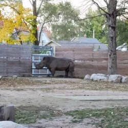 Potawatomi Zoo - South Bend